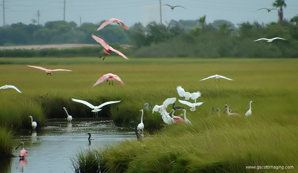 (21) Dscf7711.jpg   (1000x583)   279 Kb                                    Click to display next picture