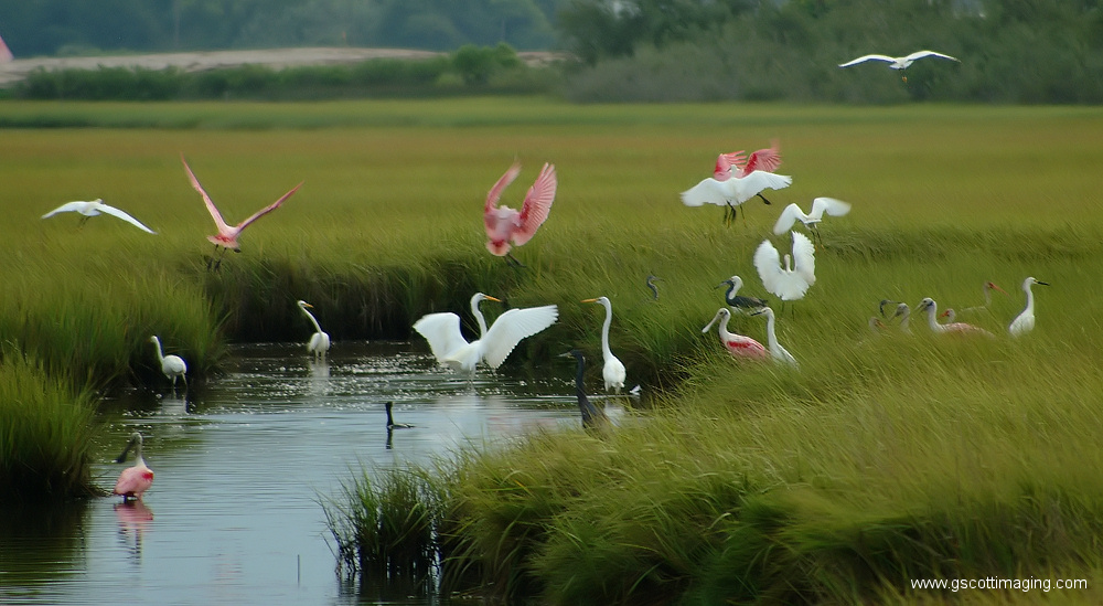 (22) Dscf7712.jpg   (1000x549)   261 Kb                                    Click to display next picture