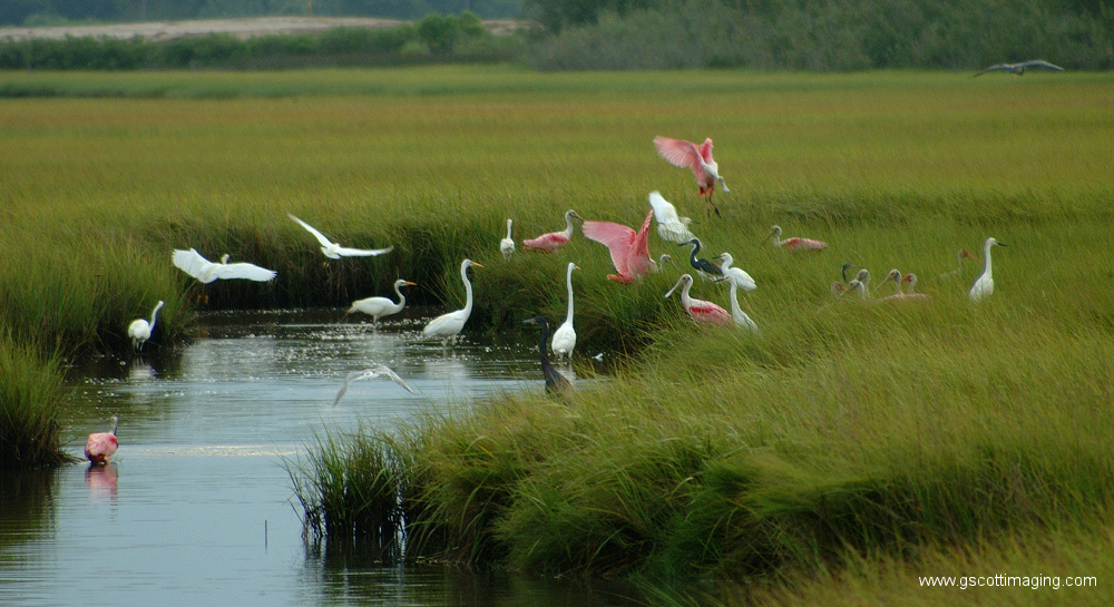 (23) Dscf7713.jpg   (1000x545)   310 Kb                                    Click to display next picture