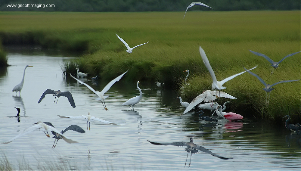 (48) Dscf7849.jpg   (1000x568)   273 Kb                                    Click to display next picture