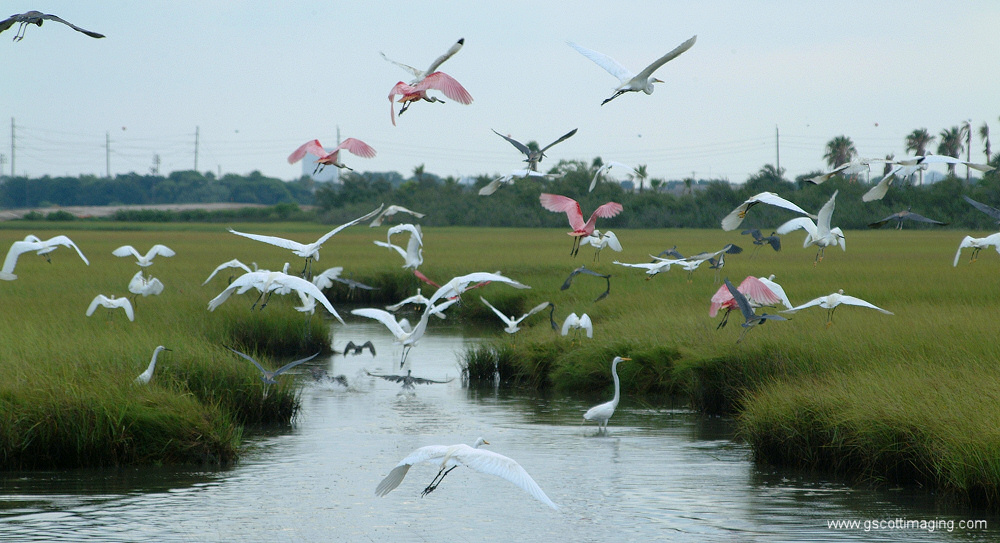 (55) Dscf7857.jpg   (1000x543)   258 Kb                                    Click to display next picture