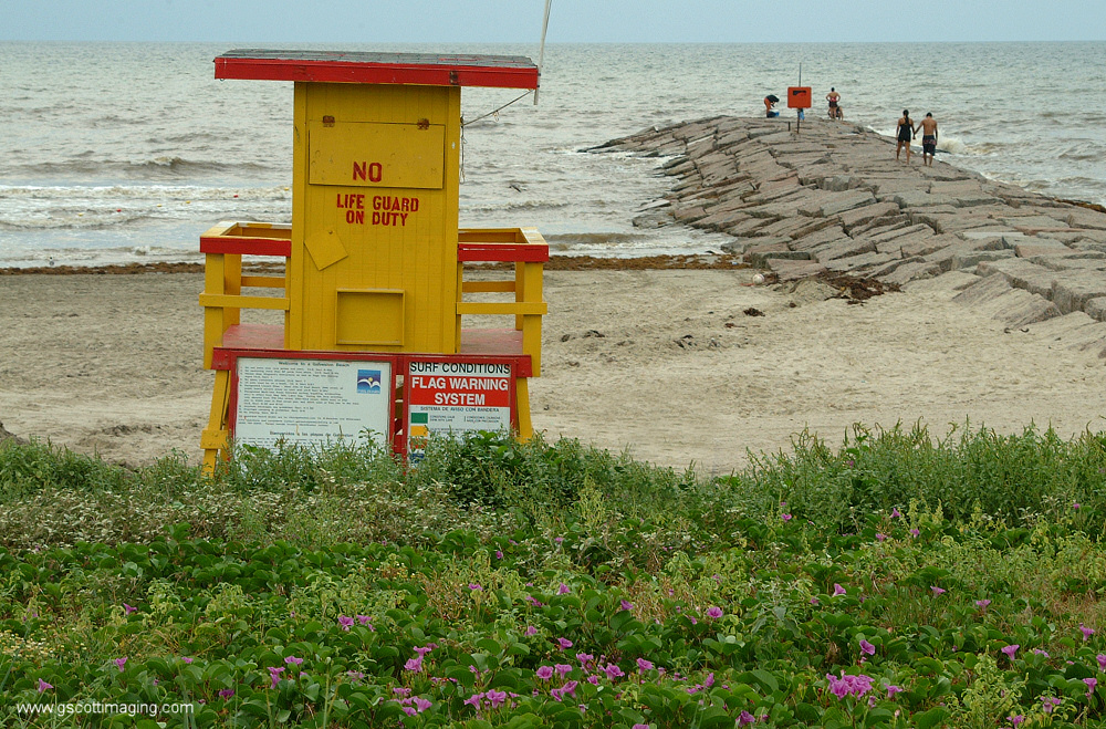 (01) Dscf7723.jpg   (1000x659)   477 Kb                                    Click to display next picture