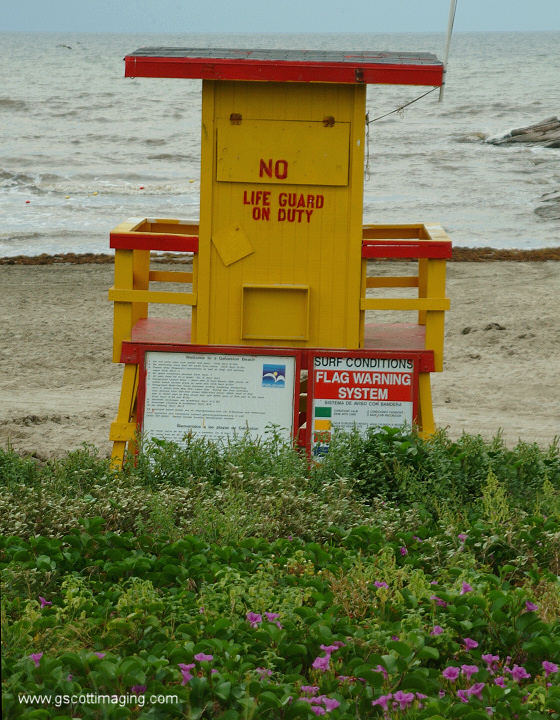 (05) Dscf7722.jpg   (560x720)   263 Kb                                    Click to display next picture