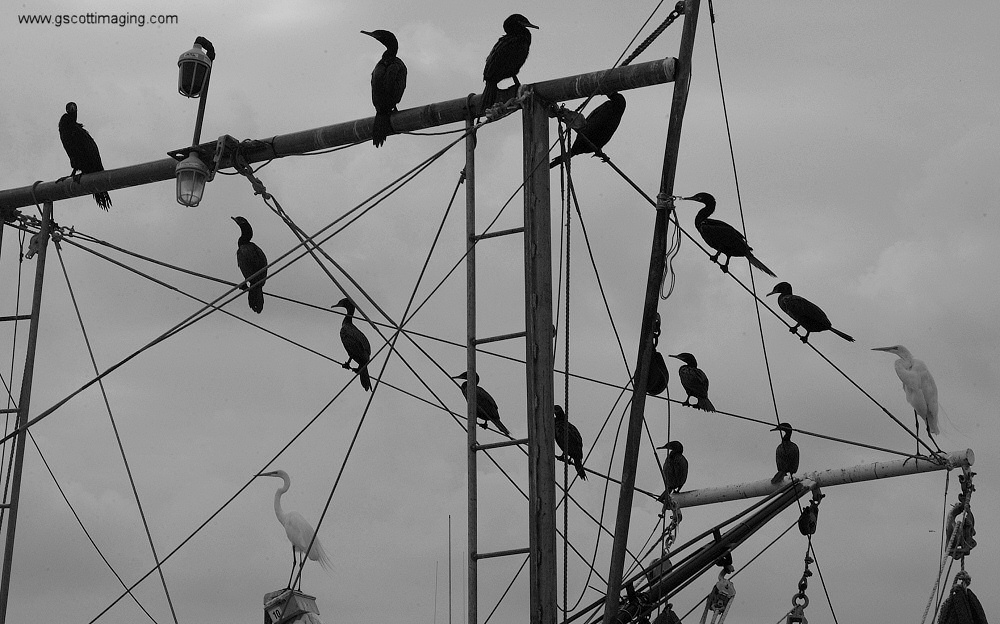 (07) Dscf7748.jpg   (1000x624)   205 Kb                                    Click to display next picture