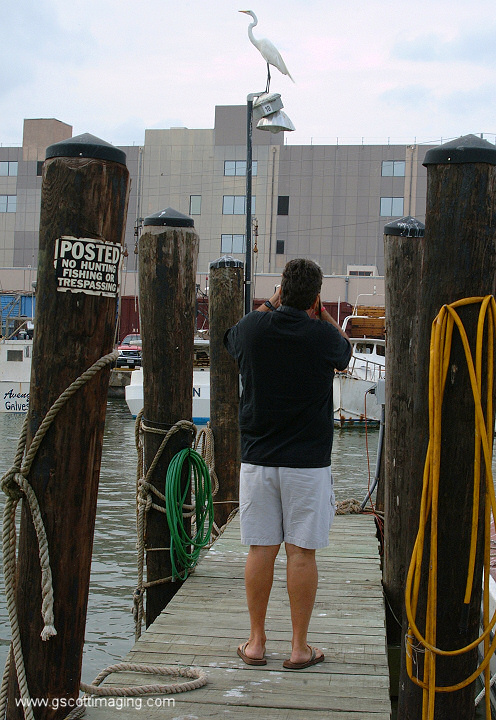 (09) Dscf7749.jpg   (496x720)   205 Kb                                    Click to display next picture