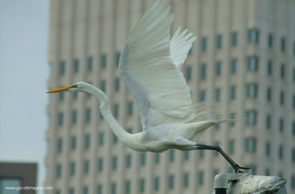 (11) Dscf7750.jpg   (1000x657)   194 Kb                                    Click to display next picture