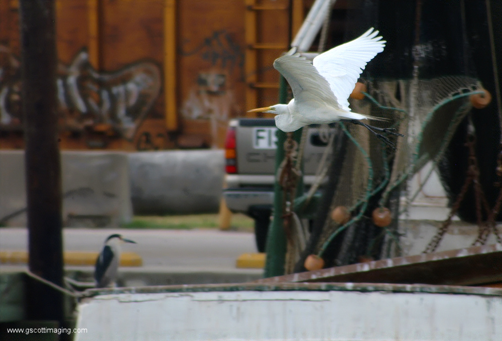 (12) Dscf7751.jpg   (1000x679)   220 Kb                                    Click to display next picture