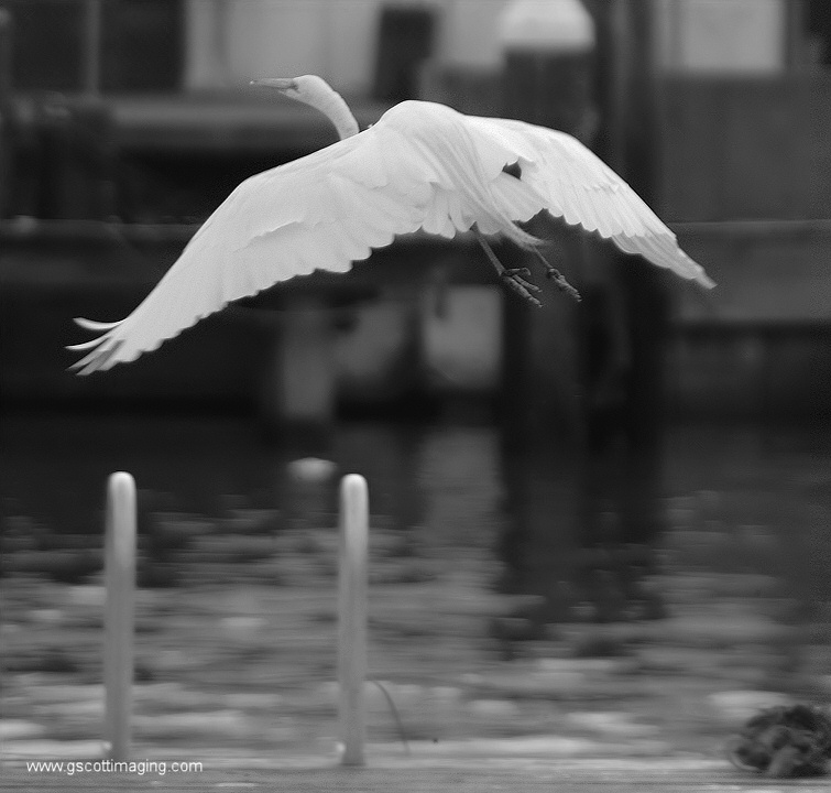 (25) Dscf7772.jpg   (755x720)   118 Kb                                    Click to display next picture