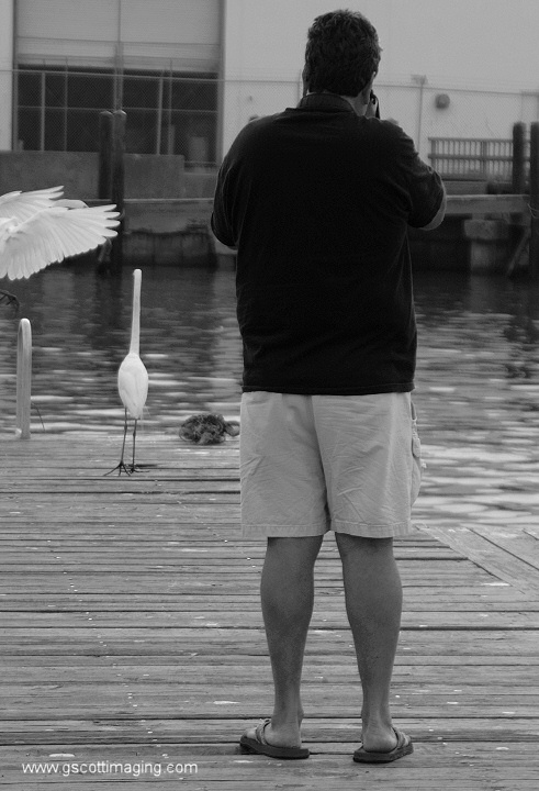 (31) Dscf7776.jpg   (491x720)   117 Kb                                    Click to display next picture