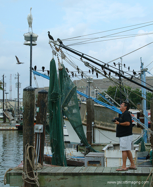 (56) Dscf7810.jpg   (589x720)   269 Kb                                    Click to display next picture