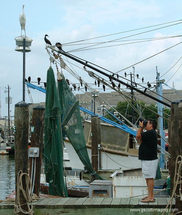 (57) Dscf7811.jpg   (610x720)   282 Kb                                    Click to display next picture