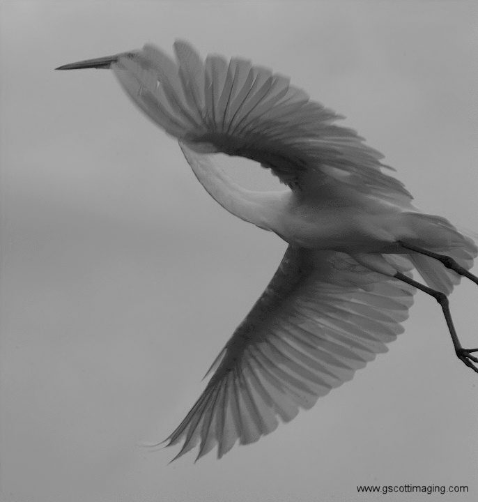 (60) Dscf7820.jpg   (686x720)   88 Kb                                    Click to display next picture