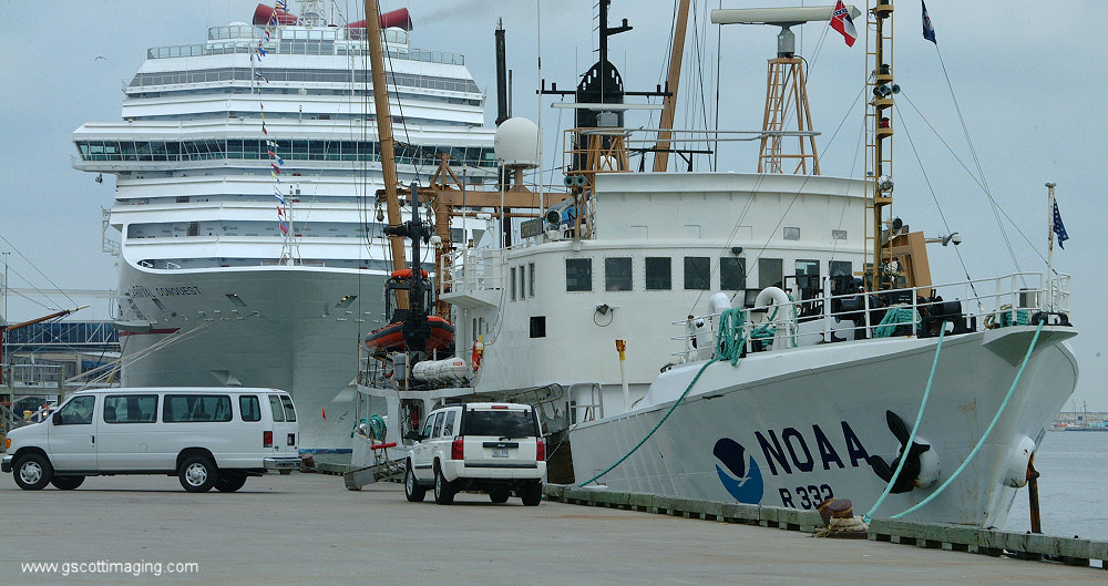 (62) Dscf7821.jpg   (1000x529)   304 Kb                                    Click to display next picture