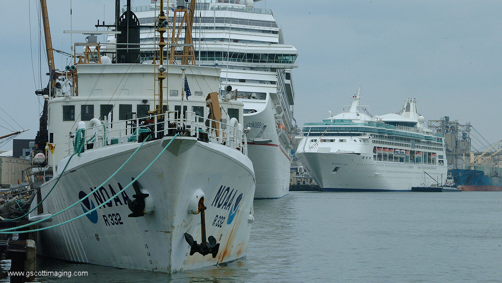 (63) Dscf7822.jpg   (1000x564)   309 Kb                                    Click to display next picture