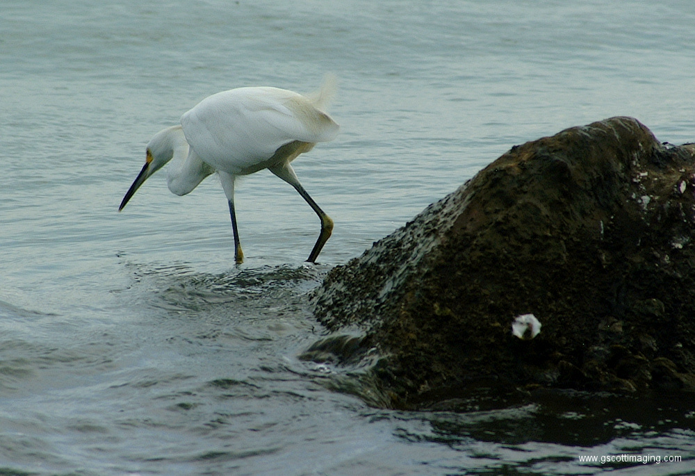 (03) Dscf1014.jpg   (1000x685)   361 Kb                                    Click to display next picture