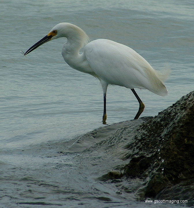 (05) Dscf1016.jpg   (672x720)   258 Kb                                    Click to display next picture