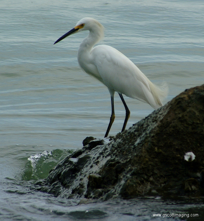 (08) Dscf1024.jpg   (663x720)   269 Kb                                    Click to display next picture