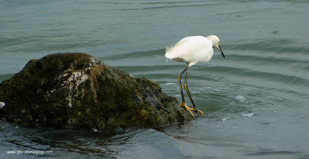 (11) Dscf1037.jpg   (1000x515)   303 Kb                                    Click to display next picture