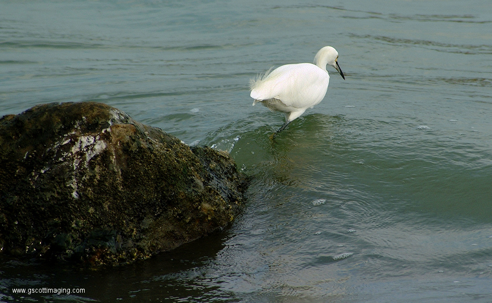 (12) Dscf1038.jpg   (1000x616)   352 Kb                                    Click to display next picture