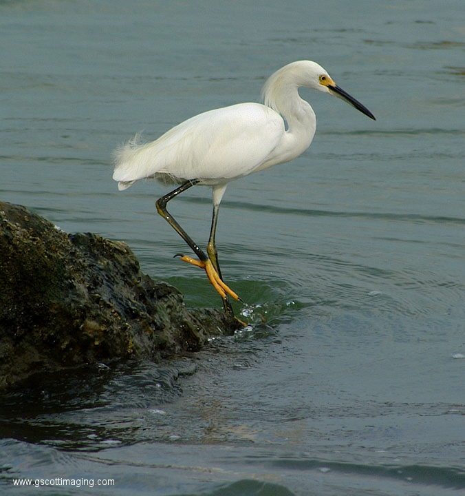 (13) Dscf1039.jpg   (676x720)   268 Kb                                    Click to display next picture