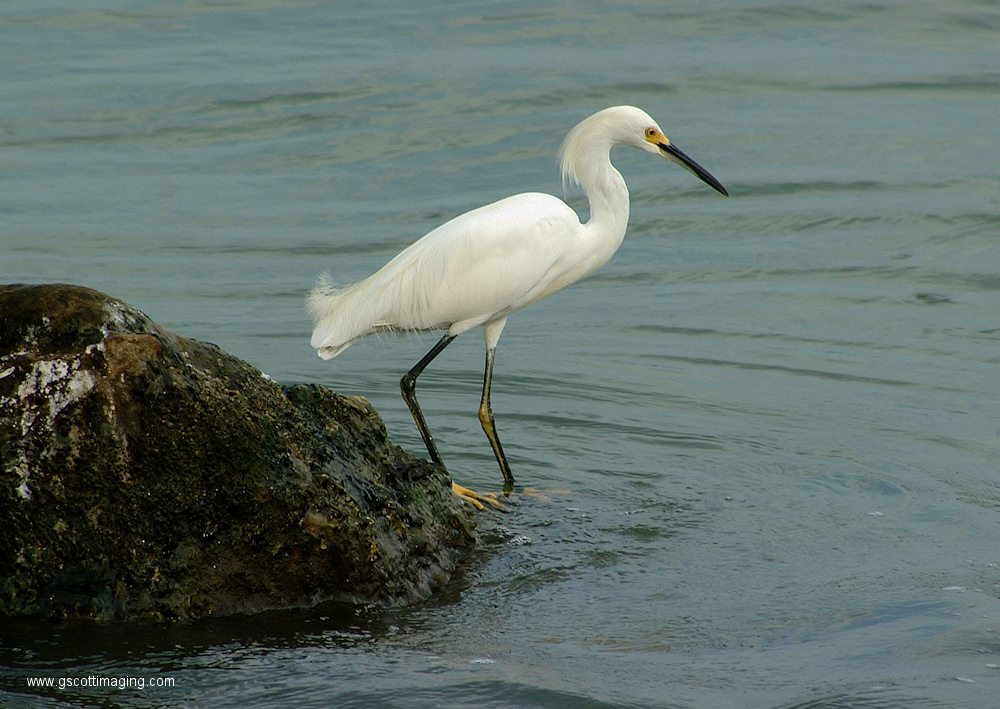 (14) Dscf1040.jpg   (1000x709)   378 Kb                                    Click to display next picture