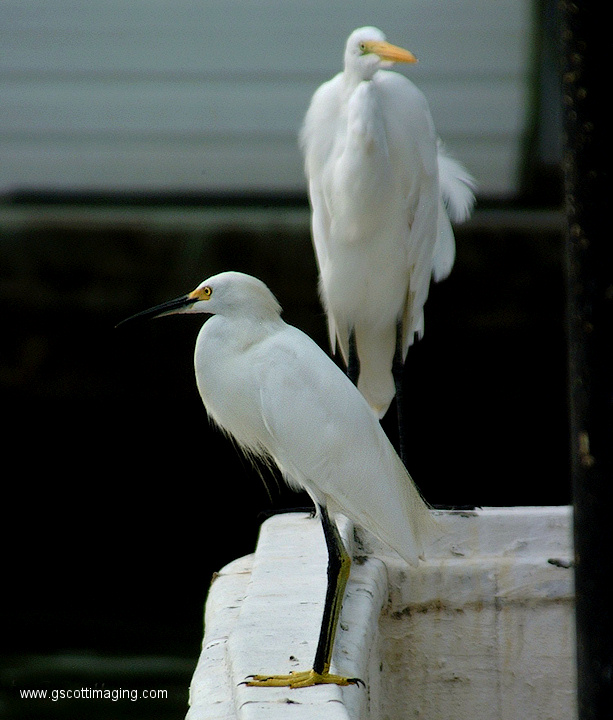 (16) Dscf1051.jpg   (613x720)   164 Kb                                    Click to display next picture