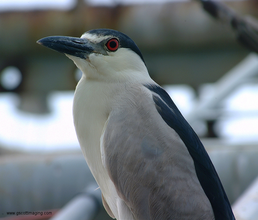 (04) Dscf1109.jpg   (845x720)   267 Kb                                    Click to display next picture