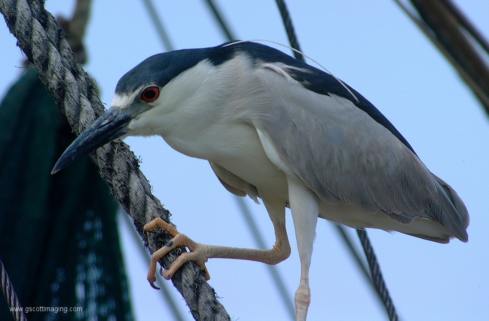 (63) Dscf2050.jpg   (1000x658)   322 Kb                                    Click to display next picture