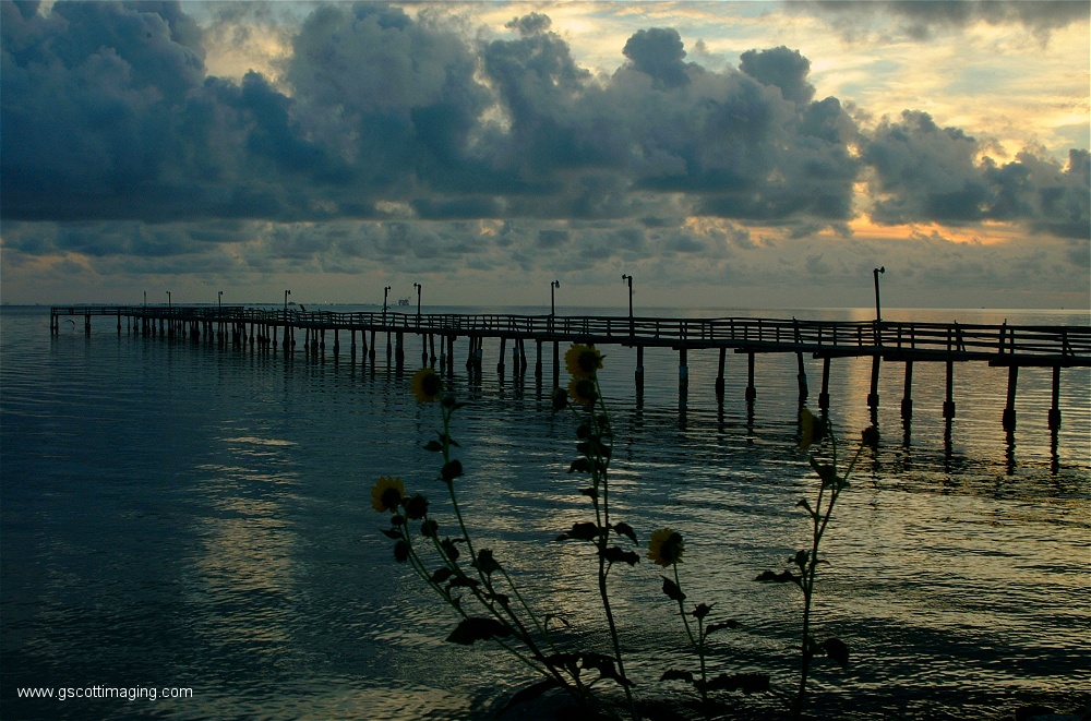 (04) Dscf0195.jpg   (1000x661)   300 Kb                                    Click to display next picture