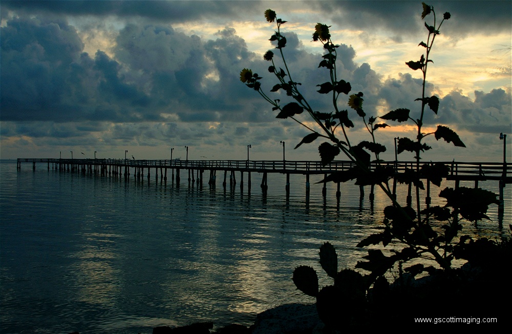 (05) Dscf0196.jpg   (1000x652)   256 Kb                                    Click to display next picture