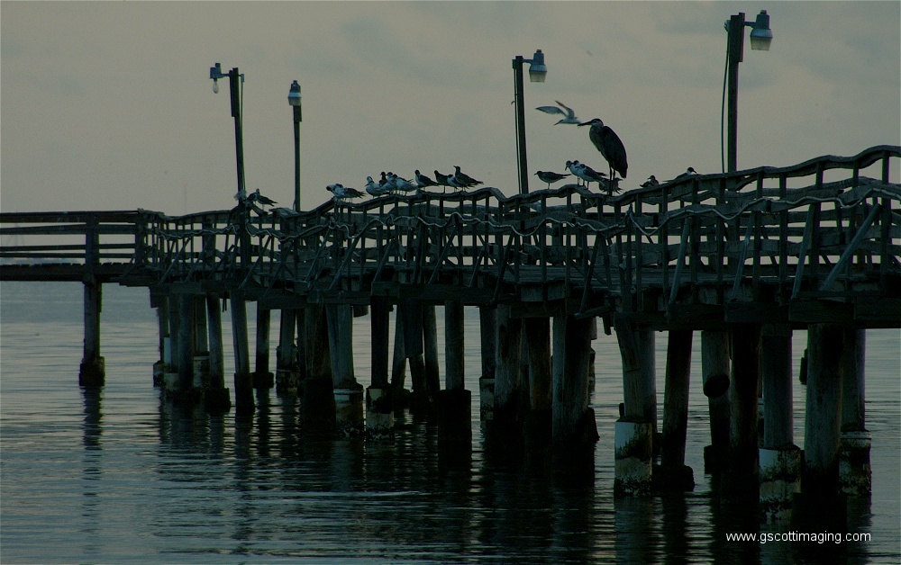 (09) Dscf0207.jpg   (1000x628)   230 Kb                                    Click to display next picture