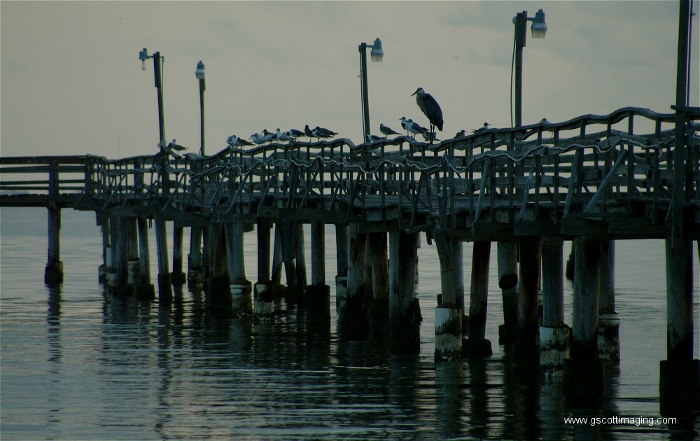 (10) Dscf0208.jpg   (1000x630)   226 Kb                                    Click to display next picture