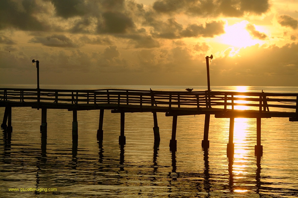 (12) Dscf0224.jpg   (1000x667)   299 Kb                                    Click to display next picture