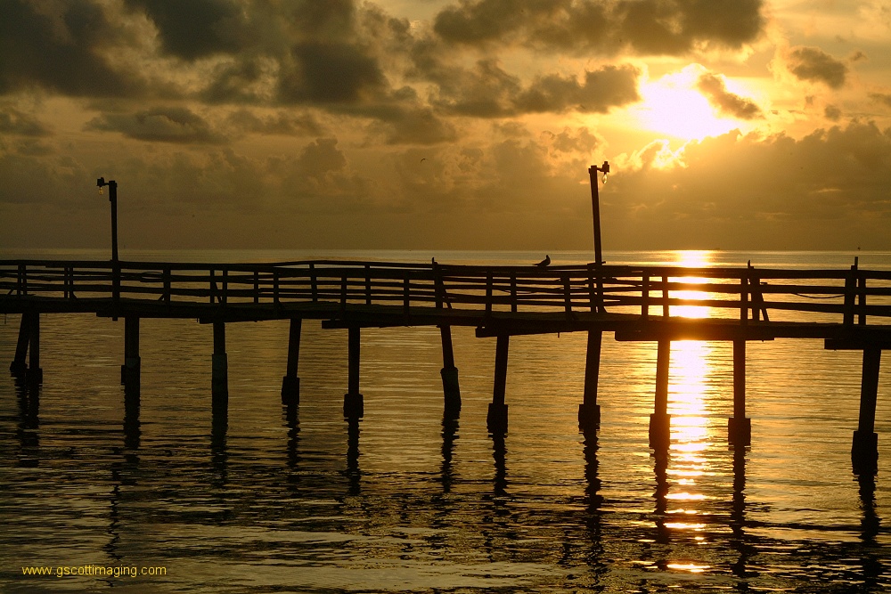 (13) Dscf0225.jpg   (1000x667)   297 Kb                                    Click to display next picture