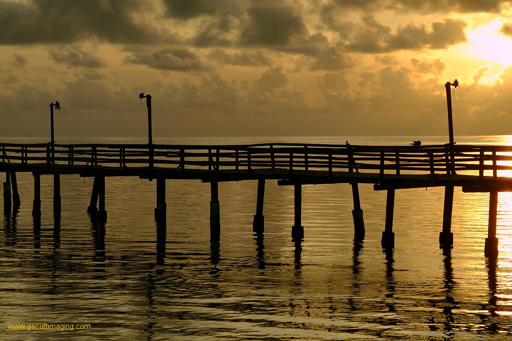 (14) Dscf0226.jpg   (1000x667)   303 Kb                                    Click to display next picture