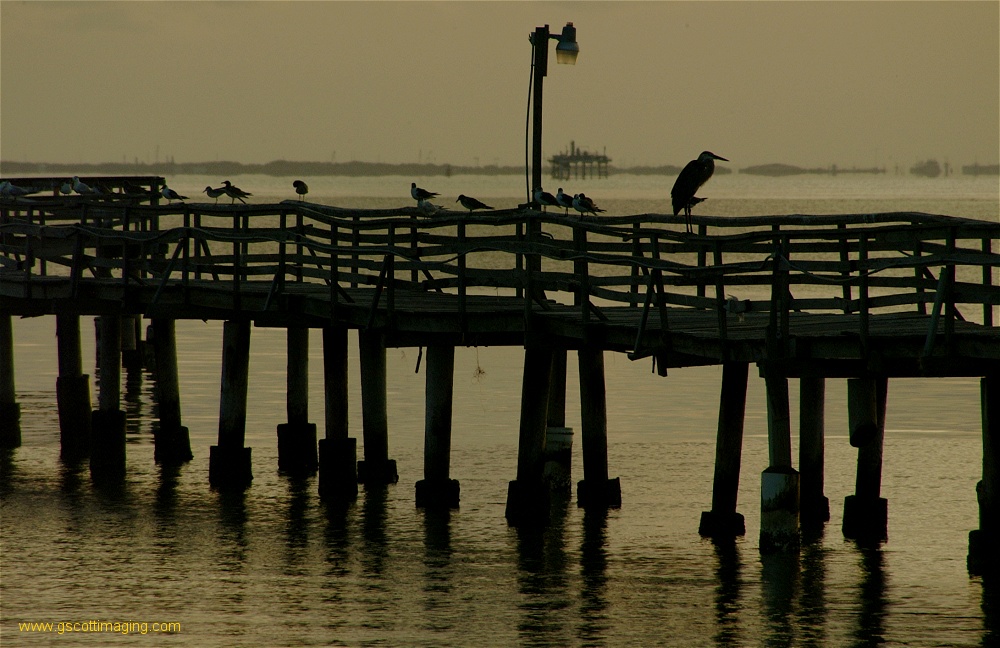 (15) Dscf0227.jpg   (1000x648)   239 Kb                                    Click to display next picture