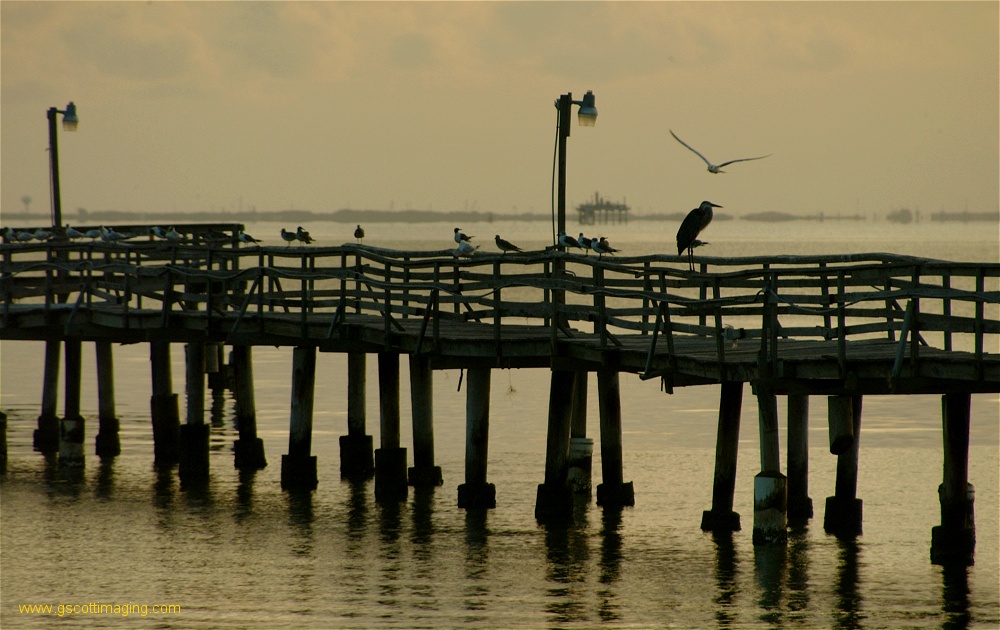 (16) Dscf0228.jpg   (1000x630)   218 Kb                                    Click to display next picture