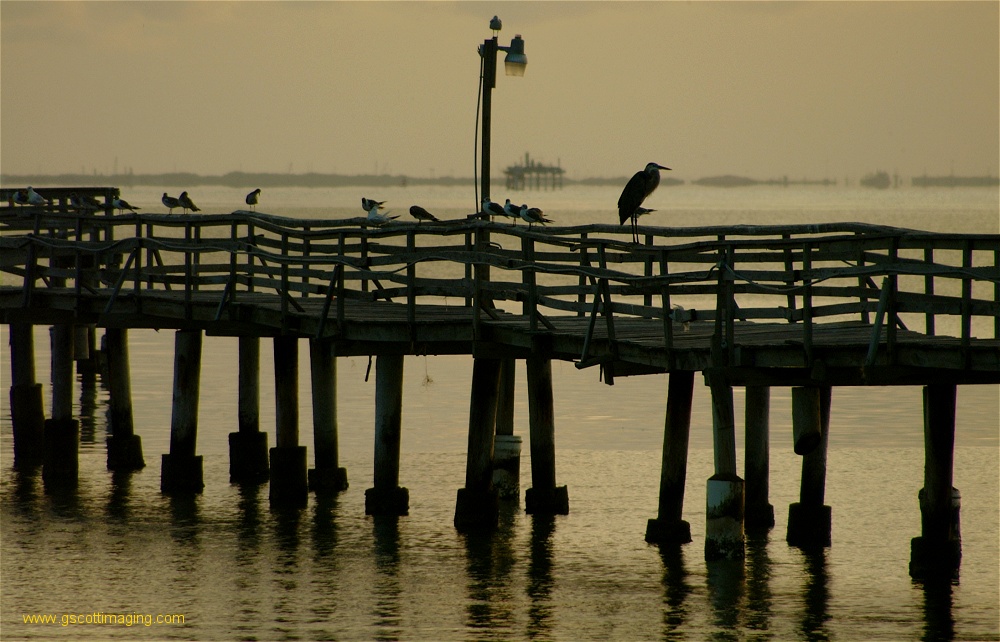 (17) Dscf0229.jpg   (1000x642)   231 Kb                                    Click to display next picture