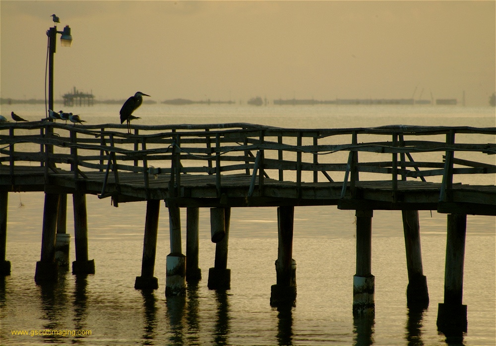 (18) Dscf0231.jpg   (1000x698)   248 Kb                                    Click to display next picture