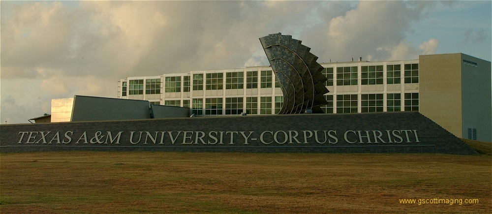 (22) Dscf0240.jpg   (1000x435)   175 Kb                                    Click to display next picture