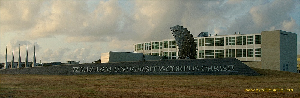 (23) Dscf0242.jpg   (1000x329)   151 Kb                                    Click to display next picture