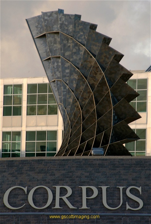 (25) Dscf0246.jpg   (487x720)   144 Kb                                    Click to display next picture