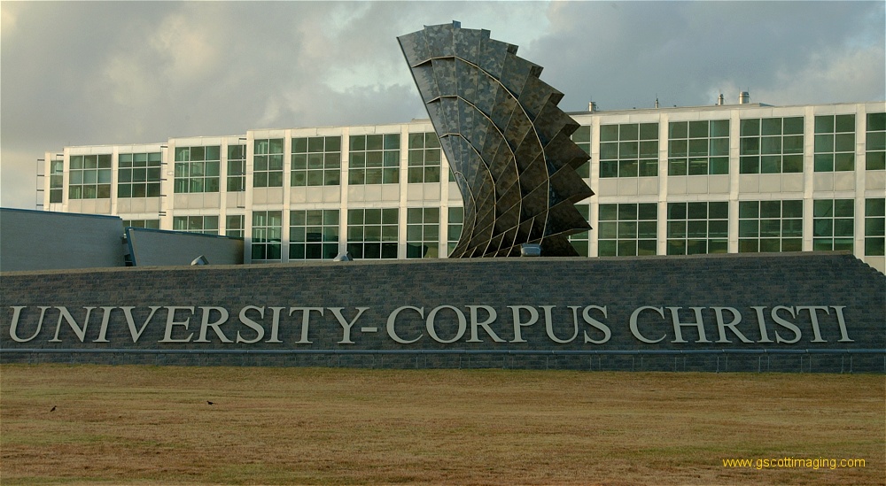 (26) Dscf0248.jpg   (1000x549)   230 Kb                                    Click to display next picture