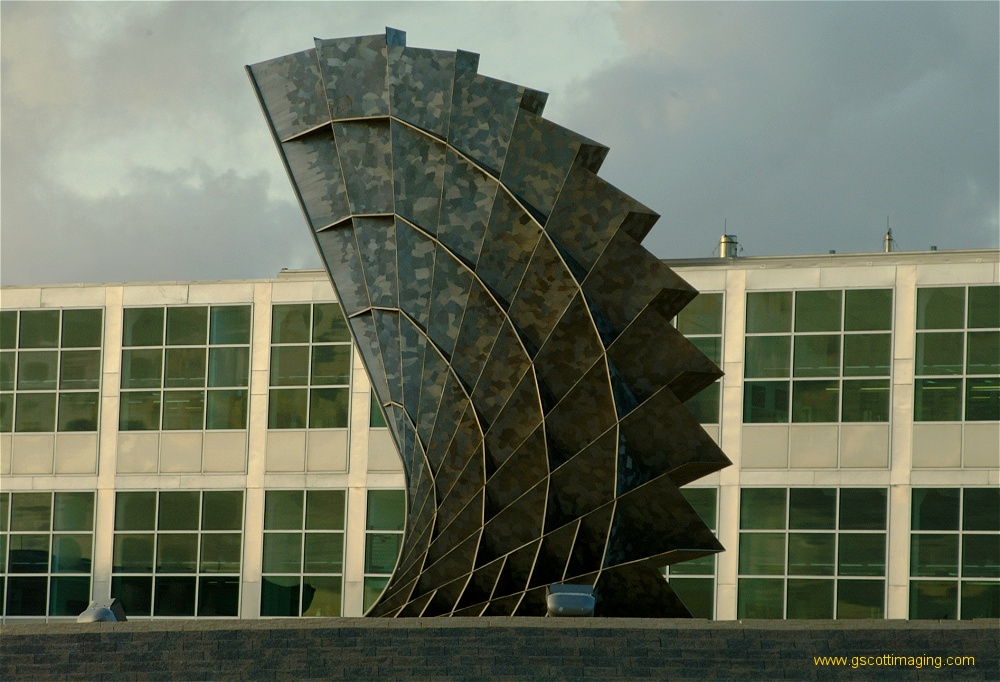 (27) Dscf0249.jpg   (1000x682)   239 Kb                                    Click to display next picture