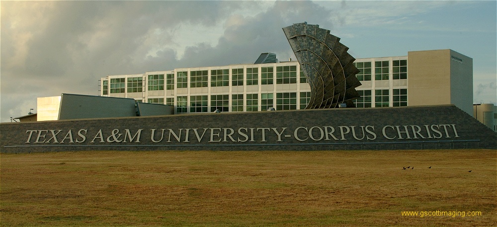 (28) Dscf0253.jpg   (1000x456)   195 Kb                                    Click to display next picture