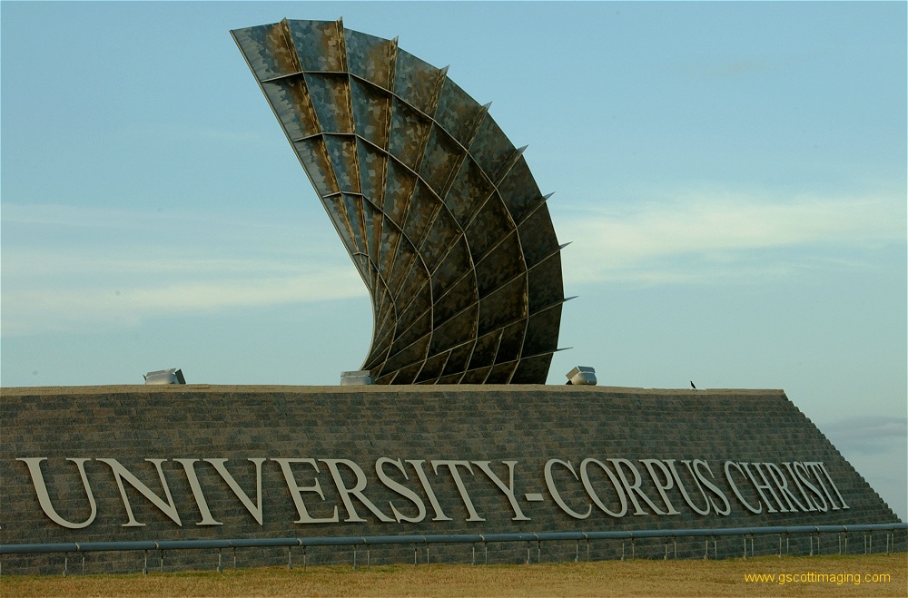 (29) Dscf0255.jpg   (1000x659)   227 Kb                                    Click to display next picture