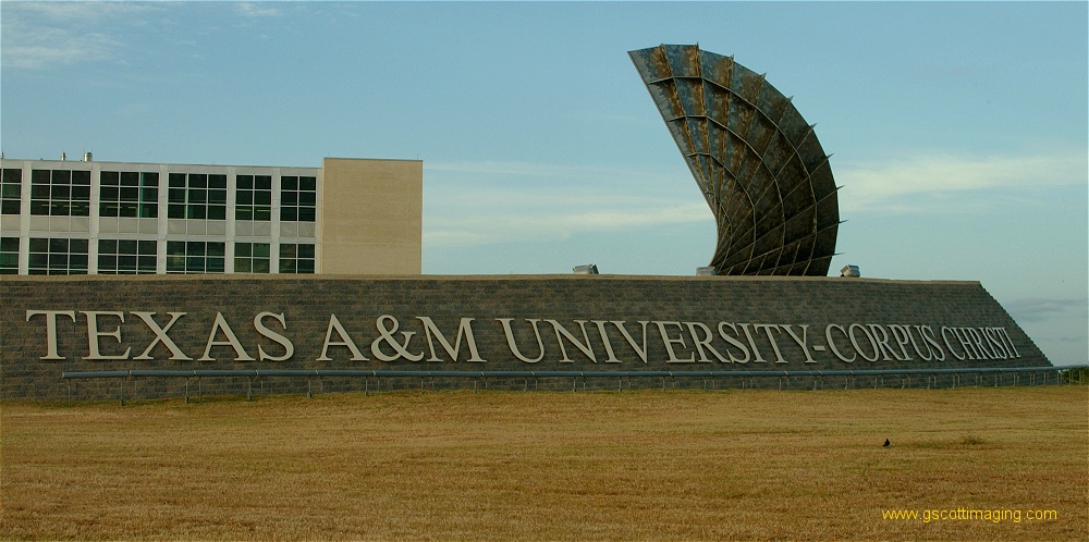 (30) Dscf0256.jpg   (1000x498)   207 Kb                                    Click to display next picture