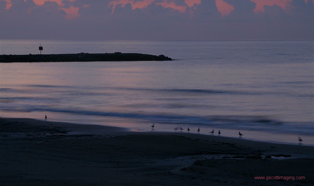 (06) Dscf0012.jpg   (1000x595)   155 Kb                                    Click to display next picture