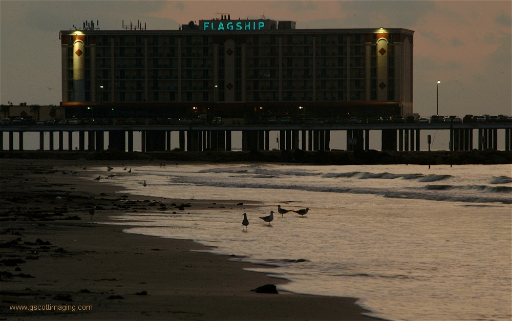 (11) Dscf0022.jpg   (1000x627)   203 Kb                                    Click to display next picture