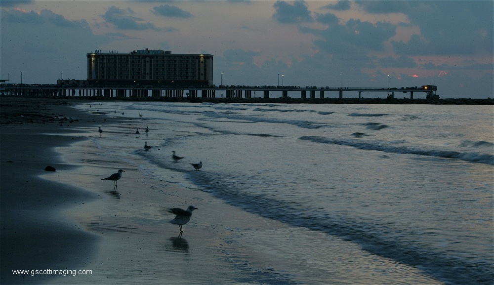 (14) Dscf0033.jpg   (1000x577)   208 Kb                                    Click to display next picture